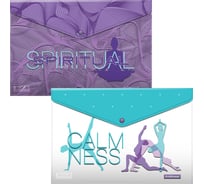 Набор из 4 папок-конвертов на кнопке пластиковых ErichKrause Meditation, A4, ассорти 54779