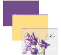 Набор из 3 zip-пакетов пластиковых ErichKrause Soft Iris, B5, полупрозрачный, ассорти 55124