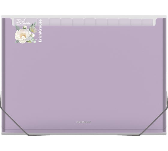 Пластиковая папка-картотека ErichKrause Matt Pastel Bloom с 13 цветными отделениями, A4, прозрачный, ассорти (в пакете по 4 шт) 61214 1