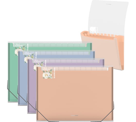 Пластиковая папка-картотека ErichKrause Matt Pastel Bloom с 13 цветными отделениями, A4, прозрачный, ассорти (в пакете по 4 шт) 61214