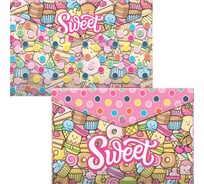 Набор из 4 папок-конвертов на кнопке пластиковых ErichKrause Sweet Paradise, A4, ассорти 55108