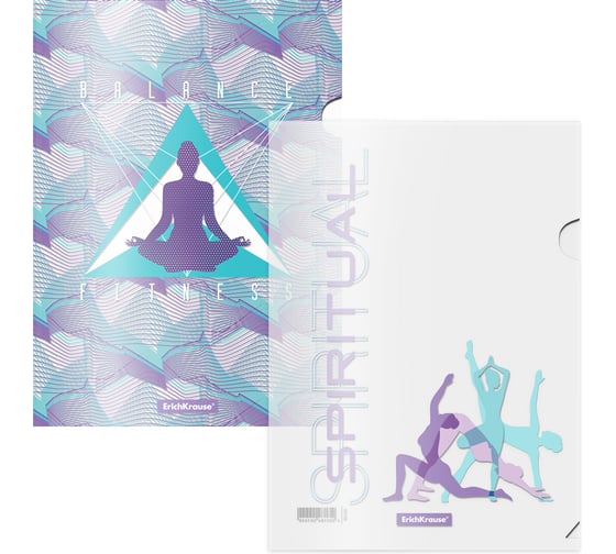 Набор из 4 папок-уголков пластиковых ErichKrause Meditation, A4, ассорти 55104 1