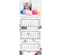 Квартальный календарь OfficeSpace Premium The kitten 3 блока на 3 гребнях 2022 г 318427