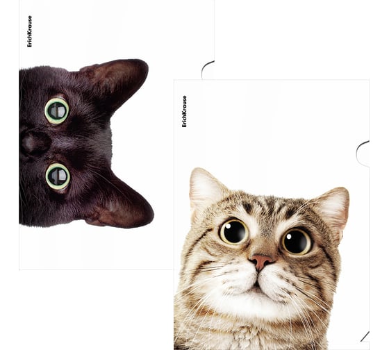 Папка-уголок пластиковая ErichKrause Hiding Cats, A4, ассорти, 12 шт 61139 1