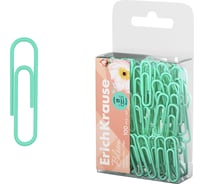 Скрепки ErichKrause металлические с виниловым покрытием Цветущая нежность, 28 мм, мятный 62044