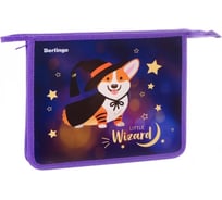 Папка для тетрадей BERLINGO Little wizard 1 отделение, А5, пластик, на молнии PPA51023