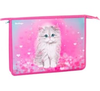 Папка для тетрадей BERLINGO Little kitty 1 отделение, А4, пластик, на молнии PPA42023
