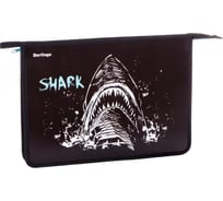 Папка для тетрадей BERLINGO Shark 1 отделение, А4, 340х245х40 мм, пластик, на молнии PPA42028