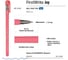 Шариковая ручка Bruno Visconti FirstWrite Joy 0.5 мм, синяя, 3 цвета корпуса 20-0283 3