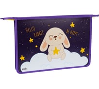 Папка для тетрадей ArtSpace Rabbit 1 отделение, А4, пластик, на молнии ПТ-83_29501