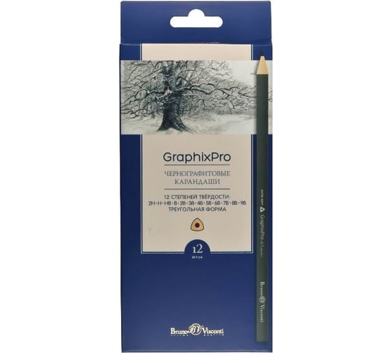 Набор чернографитных карандашей Bruno Visconti Graphixpro 12 штук 2H-9В 1153782