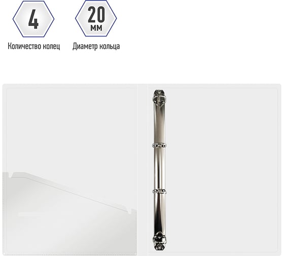 Папка на 4 кольцах BERLINGO Eco 24 мм, 600 мкм, D-кольца, с внутренним карманом, с рисунком RB4_4D801