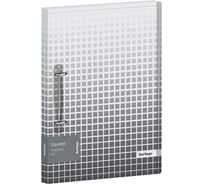 Папка на 2 кольцах BERLINGO Squares 24 мм, 600 мкм, D-кольца, с внутренним карманом RB4_2D051