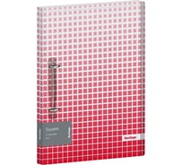 Папка на 2 кольцах BERLINGO Squares 24 мм, 600 мкм, D-кольца, с внутренним карманом RB4_2D054