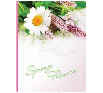 Папка BERLINGO Spring Flowers на резинке А4, 550 мкм, рисунок ANp_01431
