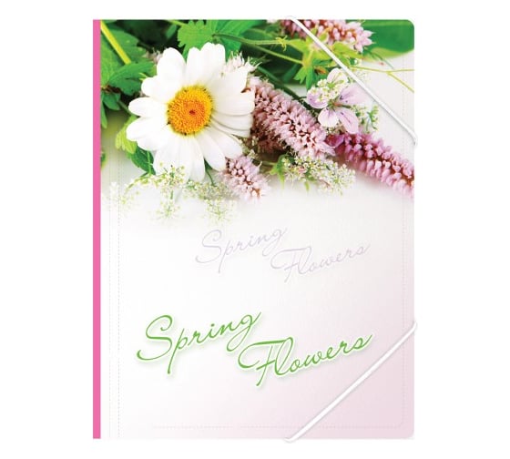 Папка BERLINGO Spring Flowers на резинке А4, 550 мкм, рисунок ANp_01431 1
