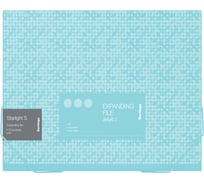 Папка BERLINGO Starlight S на резинке 12 отделений A4, 700 мкм, зеленая, c рисунком XF4_12902