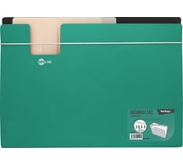 Папка BERLINGO Skyline на резинке 7 отделений, А4, 700 мкм, зеленая ANp_04207_d