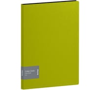 Папка BERLINGO Color Zone с зажимом, 17 мм, 1000 мкм, салатовая ACp_01119