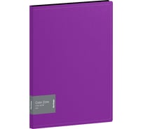Папка BERLINGO Color Zone с зажимом, 17 мм, 1000 мкм, фиолетовая ACp_01107
