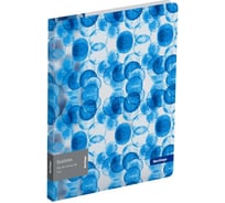 Папка BERLINGO Bubbles с зажимом А4, пластик, 17 мм, 600 мкм, прозрачная, с внутренним карманом, с рисунком FSc_A4601