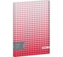 Папка Berlingo Squares с 10 вкладышами, 17 мм, 600 мкм, с внутренним карманом, с рисунком DB4_10054