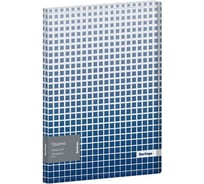 Папка BERLINGO Squares с 30 вкладышами, 17 мм, 600 мкм, с внутренним карманом, с рисунком DB4_30052