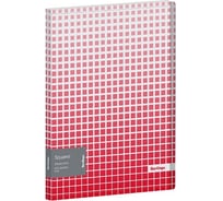 Папка BERLINGO Squares с 30 вкладышами, 17 мм, 600 мкм, с внутренним карманом, с рисунком DB4_30054