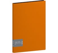 Папка BERLINGO Color Zone с 60 вкладышами, 21 мм, 1000 мкм, оранжевая AVp_60116