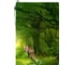 Блокнот Lamark Forest OilGelPen с ручкой, 105х150 мм, ручка автоматическая, блок спираль NB0110 1