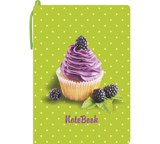 Блокнот Lamark Sweet Blackberry OilPen с ручкой, 105х150 мм, ручка автомат, блок спираль NB0115