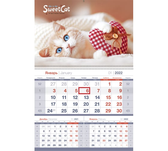 Квартальный календарь OfficeSpace Mono premium Sweet cat 1 блок на гребне, 2022 г 318385 1