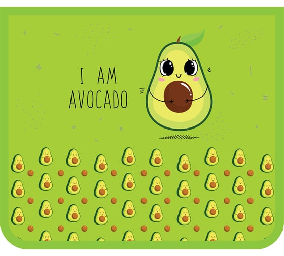 Папка для тетрадей ArtSpace Avocado 1 отделение, А5, пластик, на молнии ПТ-73_29492 1