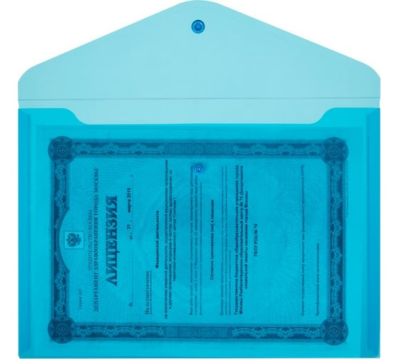 Папка-конверт на кнопке Attache 340x240 мм, синяя, 180 мкм, 10 шт 727926