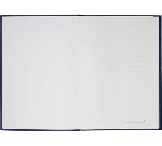 Бухгалтерская книга учета Альт А4, 64 листа, клетка, на сшивке, обложка бумвинил 7-64-139 184125
