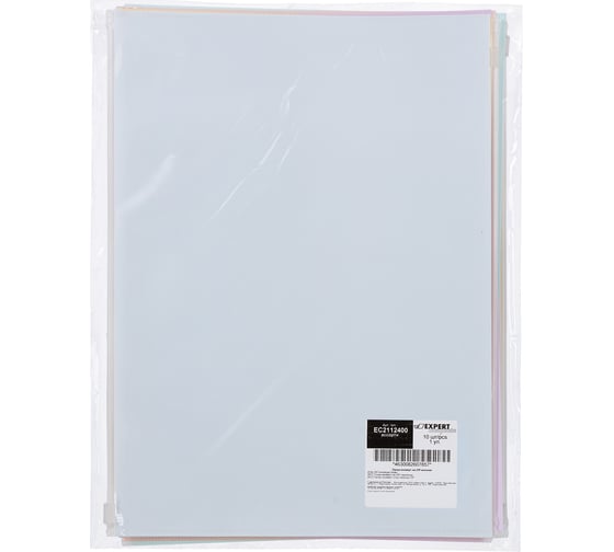 Папка-конверт Expert Complete 10 шт., на ZIP-молнии, A4, 180 мкм, диагональ, Trend Pastel, ассорти EC2112400 765763