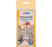 Набор чернографитных карандашей ArtSpace графика, 12шт, 2H-2B, заточен, пакет HY010_15115