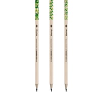 Карандаш чернографитовый Berlingo Green Series HB, 72 шт в упаковке, шестигран., заточен., пластик., ассорти BP00860