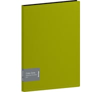 Папка BERLINGO Color Zone с 40 вкладышами 21 мм, 1000 мкм, салатовая AVp_40119