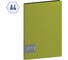 Папка BERLINGO Color Zone с 40 вкладышами 21 мм, 1000 мкм, салатовая AVp_40119 2