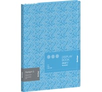 Папка BERLINGO Starlight S с 30 вкладышами 17 мм, 600 мкм, голубая, с рисунком DB4_30903