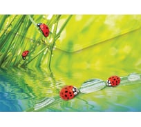 Папка-конверт BERLINGO Ladybird на кнопке А4, 180 мкм, рисунок AKk_04032