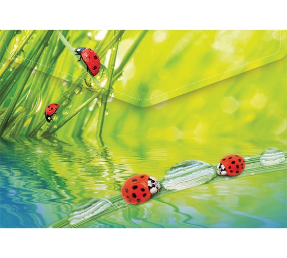 Папка-конверт BERLINGO Ladybird на кнопке А4, 180 мкм, рисунок AKk_04032