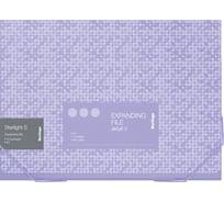 Папка BERLINGO Starlight S на резинке 12 отделений A4, 230x335x35 мм, 700 мкм XF4_12904