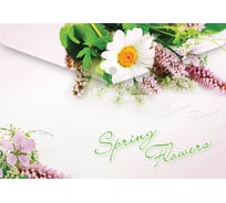 Папка-конверт BERLINGO Spring Flowers на кнопке А4, 180 мкм, рисунок AKk_04031