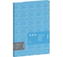 Папка BERLINGO Starlight S с 10 вкладышами 17 мм, 600 мкм, голубая, с рисунком DB4_10903