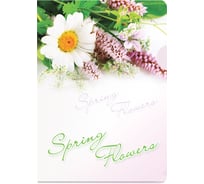 Папка-уголок Berlingo Spring Flowers А4, 180 мкм, рисунок AGp_04031