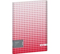 Папка с пружинным скоросшивателем Berlingo Squares 17 мм, 600 мкм, с рисунком FS4_17054