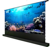 Экран Cactus FloorRising CS-PSFRALR-263x148, 148x263 см, 16:9 напольный рулонный черный, моторизованный 2029378