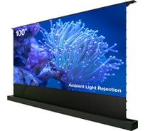 Экран CACTUS FloorRising CS-PSFRALR-221x125, 125x221 см, 16:9, напольный, рулонный, черный, моторизованный привод, 2029372